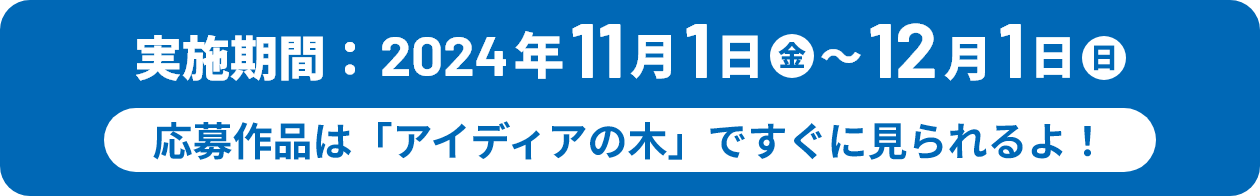 応募期間：2024年11月1日～12月1日