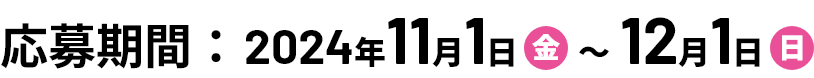 応募期間：2024年11月1日～12月1日